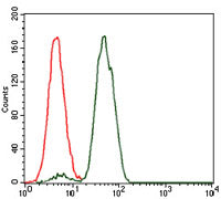 Anti-NCK1 (7H2) Mouse Monoclonal Antibody