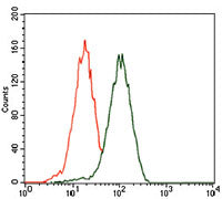 Anti-PHC1 (8G5) Mouse Monoclonal Antibody
