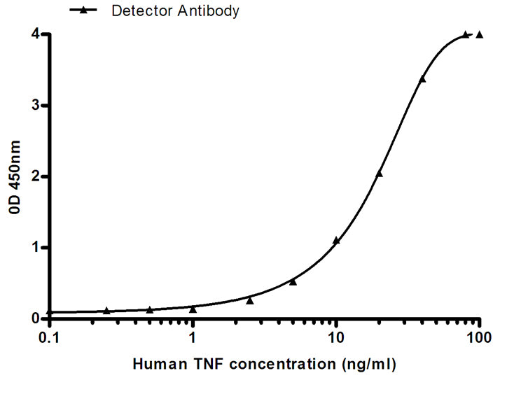 Anti-TNF alpha (5F3) Mouse Monoclonal Antibody