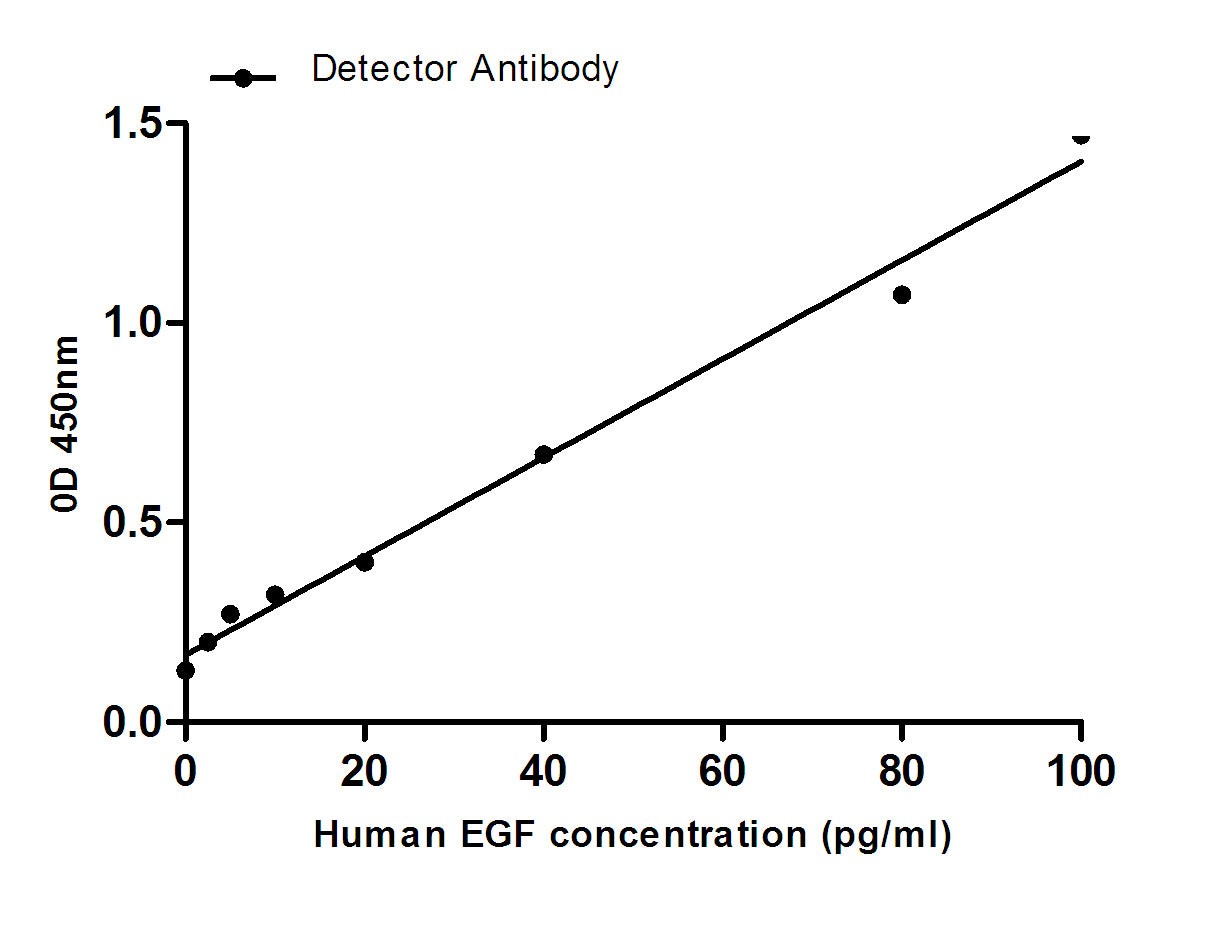 Anti-EGF (5E9) Mouse Monoclonal Antibody