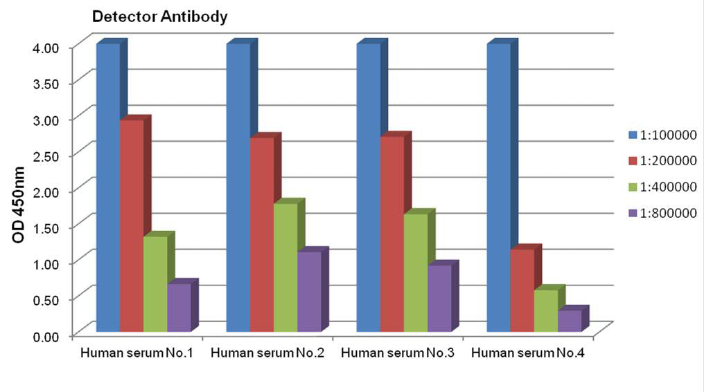 Anti-Transferrin (2D5) Mouse Monoclonal Antibody