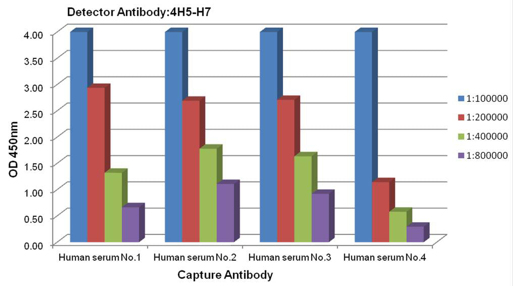 Anti-Transferrin (4H5) Mouse Monoclonal Antibody