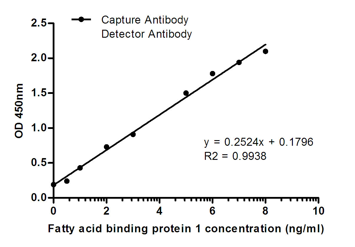 Anti-FABP1 (2D6) Mouse Monoclonal Antibody