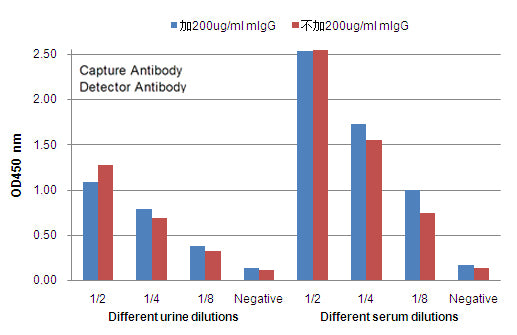 Anti-FABP1 (2D6) Mouse Monoclonal Antibody