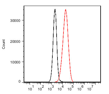 Anti-CD19 (3G7) Mouse Monoclonal Antibody