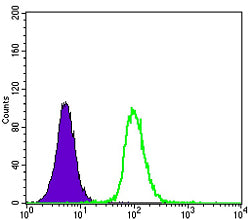 Anti-GST3 (9D4) Mouse Monoclonal Antibody