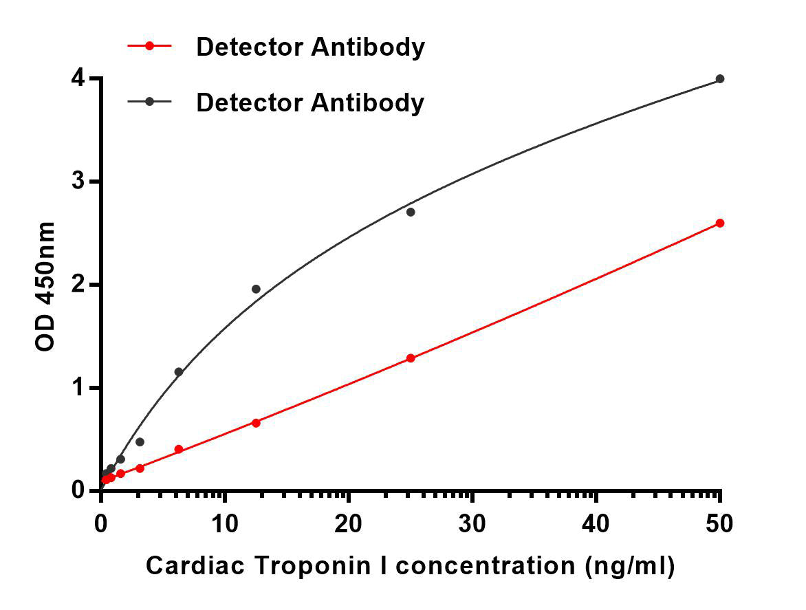 Anti-Cardiac Troponin I (1D7) Mouse Monoclonal Antibody