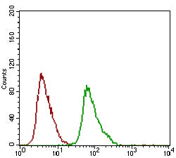Anti-DRP1 Mouse Monoclonal Antibody
