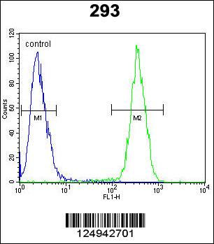 Anti-CLPX Rabbit Polyclonal Antibody