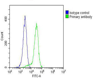 Anti-CYLD (5G4) Mouse Monoclonal Antibody