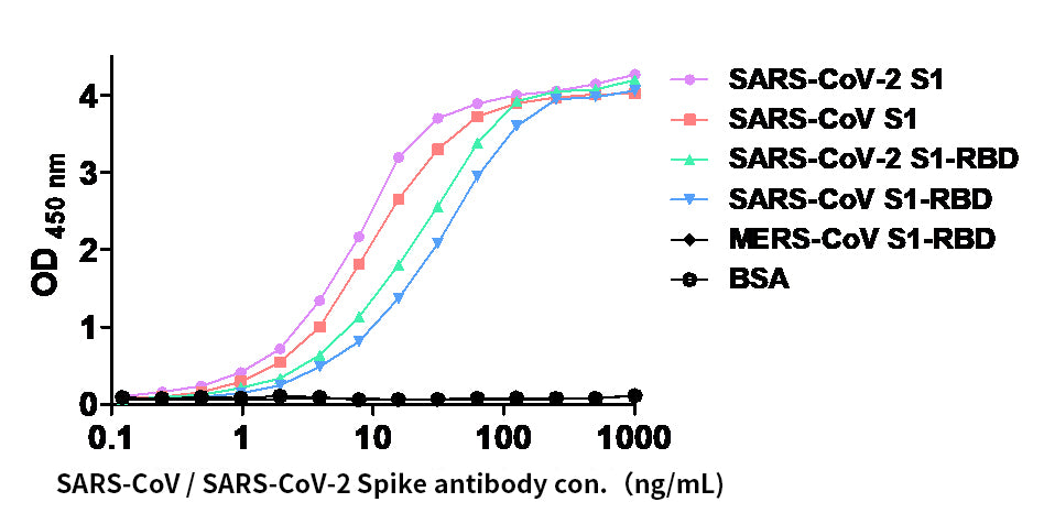 Anti-SARS CoV/SARS CoV 2 Spike Human mAb