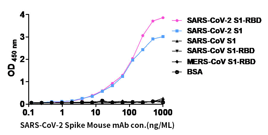 Anti-SARS CoV 2 Spike Mouse Monoclonal Antibody
