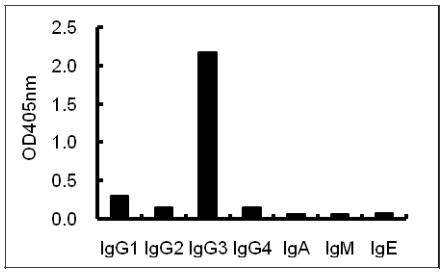 Anti-Human IgG3 Mouse Monoclonal Antibody