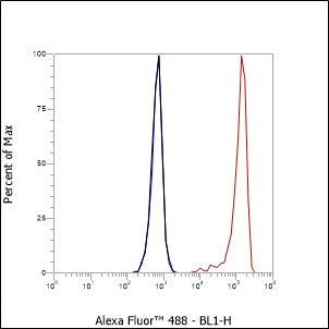 Anti-CD81 Mouse Monoclonal Antibody