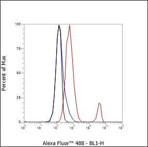 Anti-CD37 Mouse Monoclonal Antibody