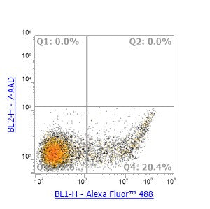 Anti-CCR4 Mouse Monoclonal Antibody