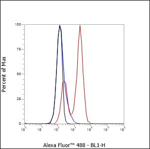 Anti-CD28 Mouse Monoclonal Antibody
