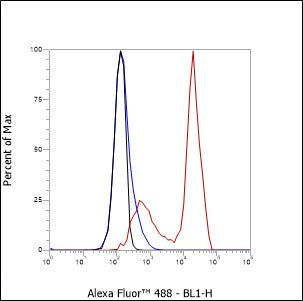 Anti-CD43 Mouse Monoclonal Antibody