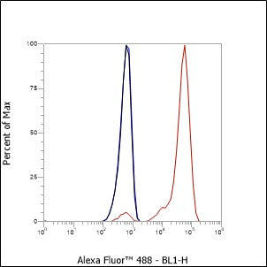 Anti-CD90 Mouse Monoclonal Antibody