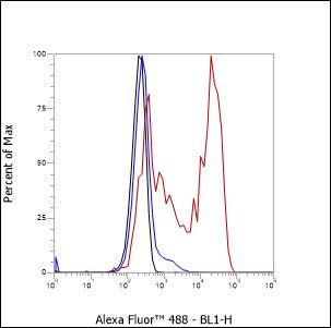 Anti-CD5 Mouse Monoclonal Antibody