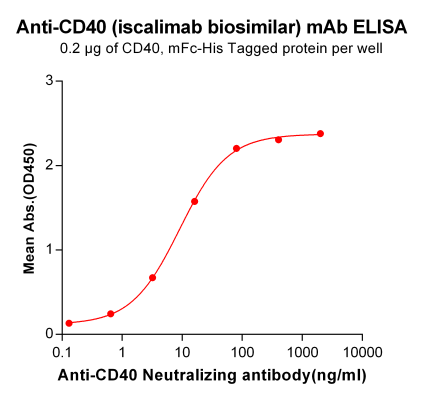 Anti-CD40 mAb (Iscalimab biosimilar)