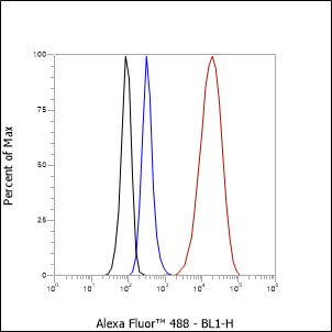 Anti-CD23 Rabbit Monoclonal Antibody