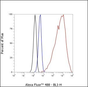 Anti-ALOX15 Rabbit Monoclonal Antibody