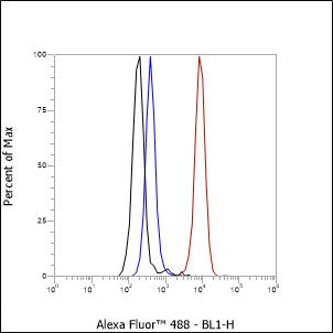 Anti-CD169 Rabbit Monoclonal Antibody
