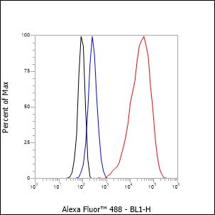 Anti-Keratin 20 Rabbit Monoclonal Antibody