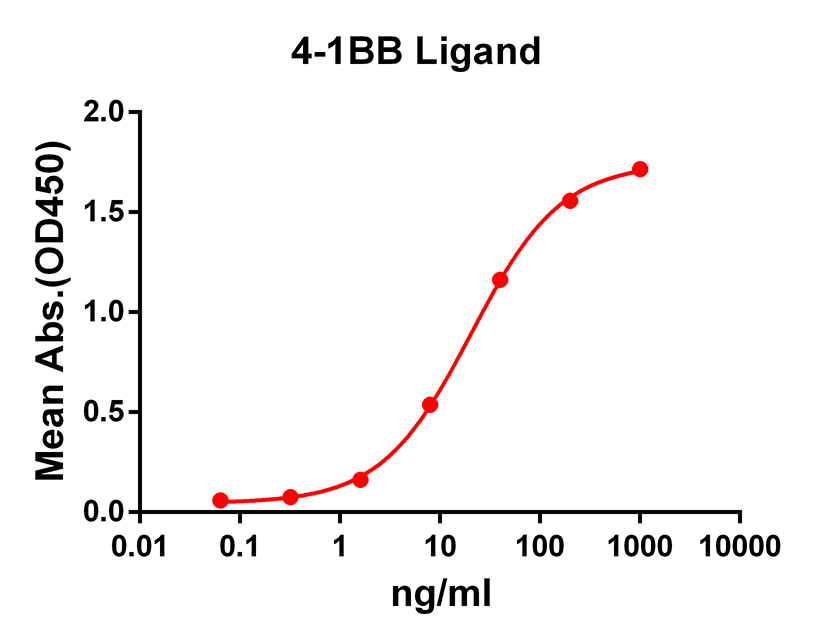 Anti-4-1BB Ligand Rabbit Monoclonal Antibody