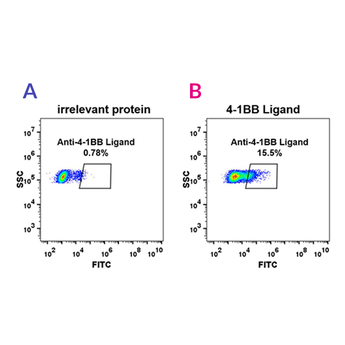Anti-4-1BB Ligand Rabbit Monoclonal Antibody