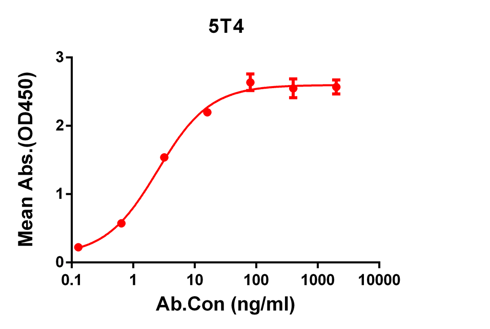 Anti-5T4 Rabbit Monoclonal Antibody