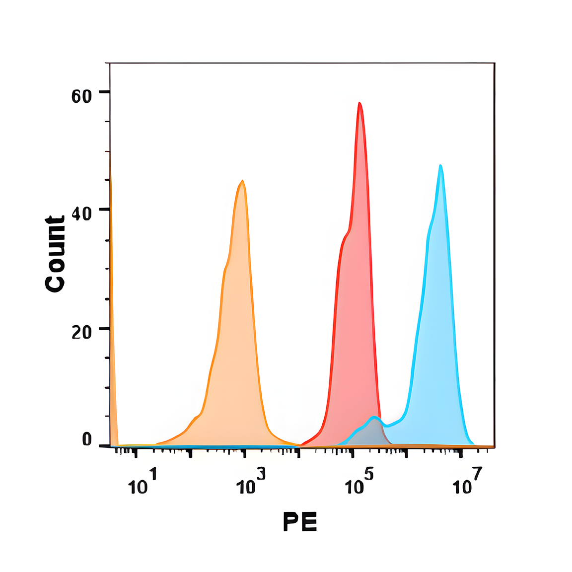 Anti-5T4 Rabbit Monoclonal Antibody