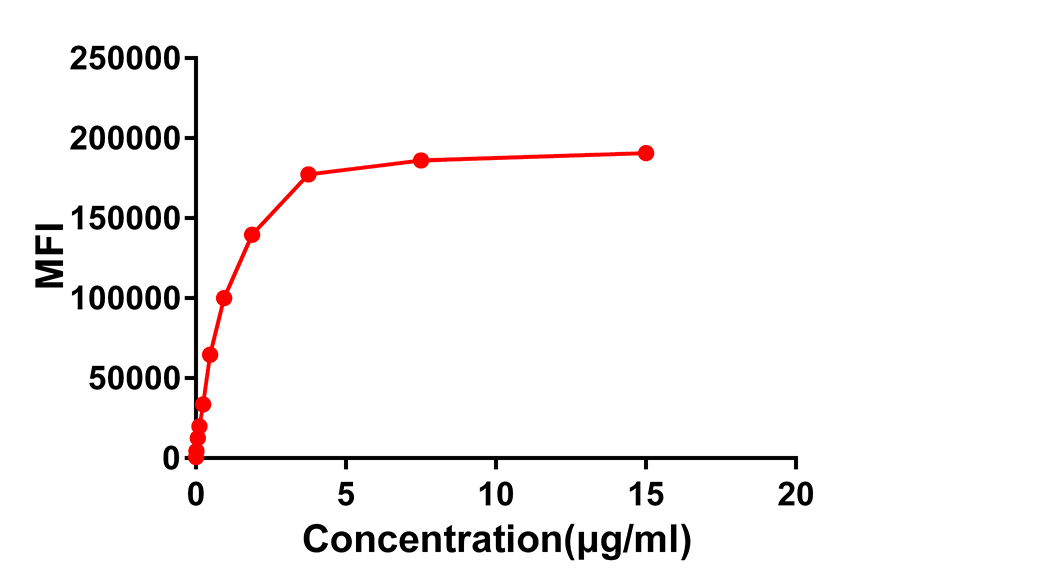 Anti-ACE2 Rabbit Monoclonal Antibody