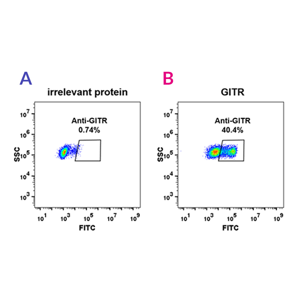 Anti-GITR Rabbit Monoclonal Antibody