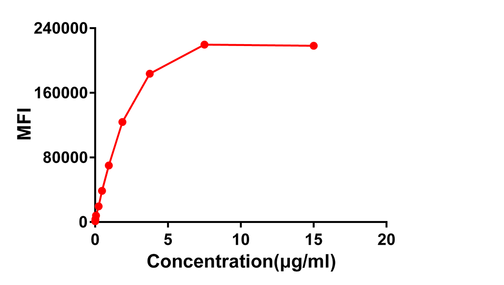 Anti-CD276 Rabbit Monoclonal Antibody
