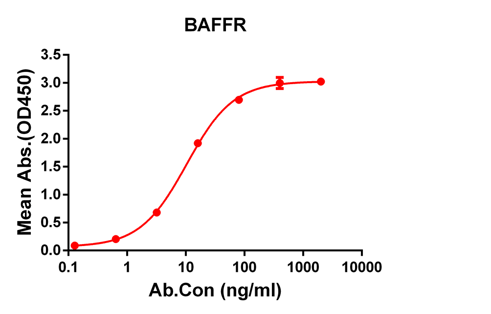 Anti-BAFFR Rabbit Monoclonal Antibody