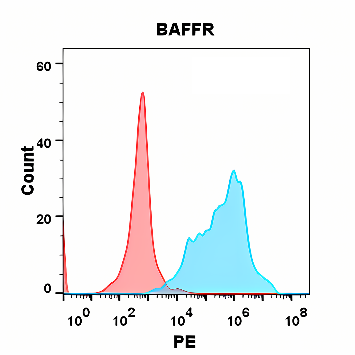 Anti-BAFFR Rabbit Monoclonal Antibody