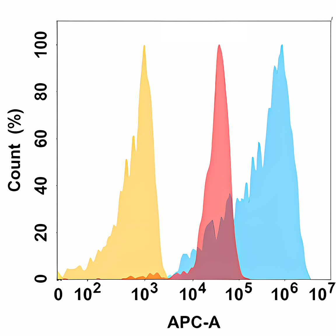 Anti-BCL2L1 Rabbit Monoclonal Antibody