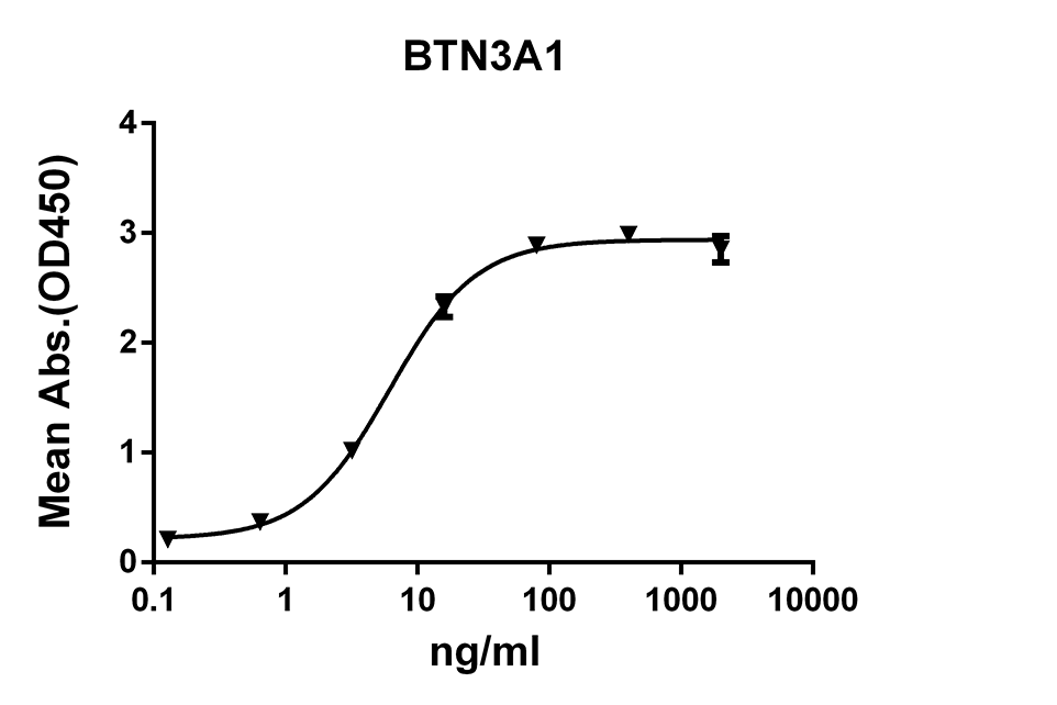 Anti-BTN3A1 Rabbit Monoclonal Antibody