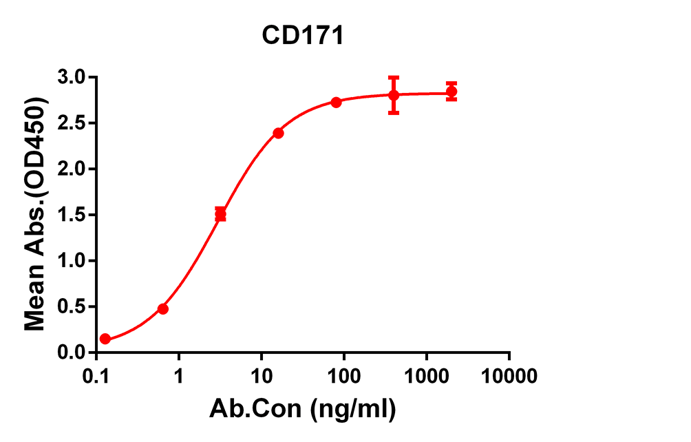 Anti-CD171 Rabbit Monoclonal Antibody