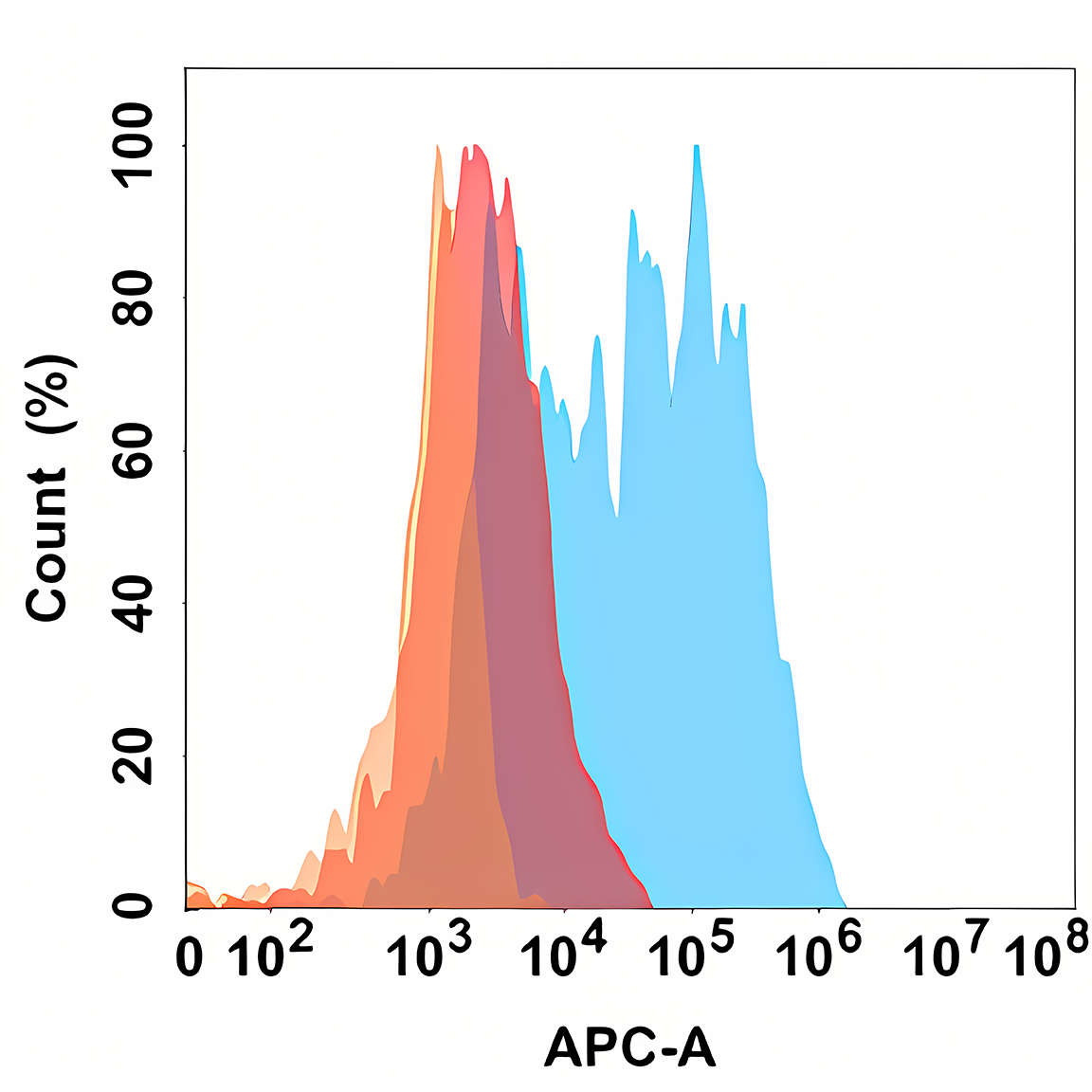 Anti-CD171 Rabbit Monoclonal Antibody