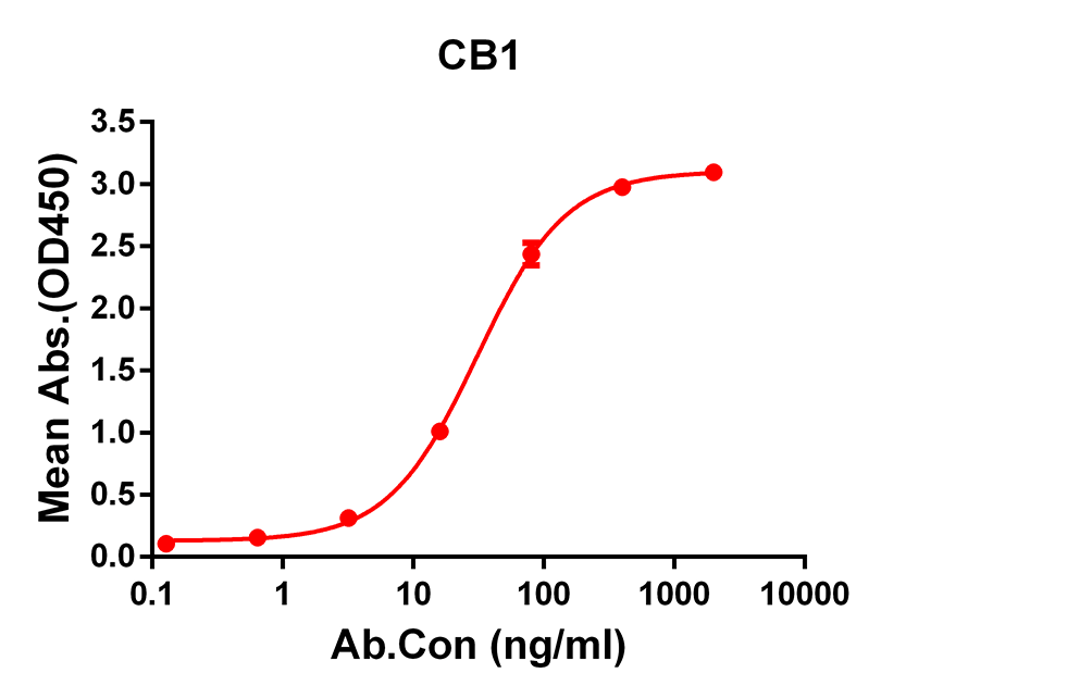 Anti-CB1 Rabbit Monoclonal Antibody