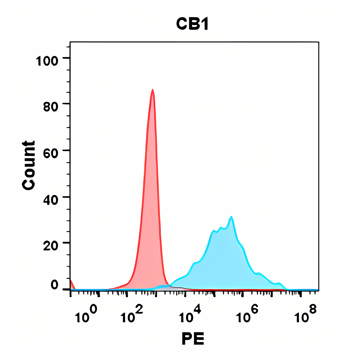 Anti-CB1 Rabbit Monoclonal Antibody