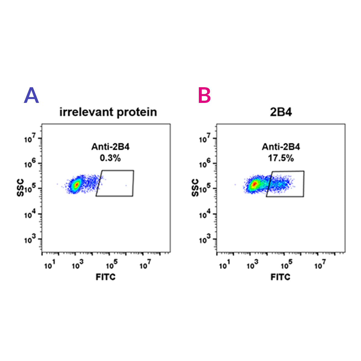 Anti-2B4 Rabbit Monoclonal Antibody