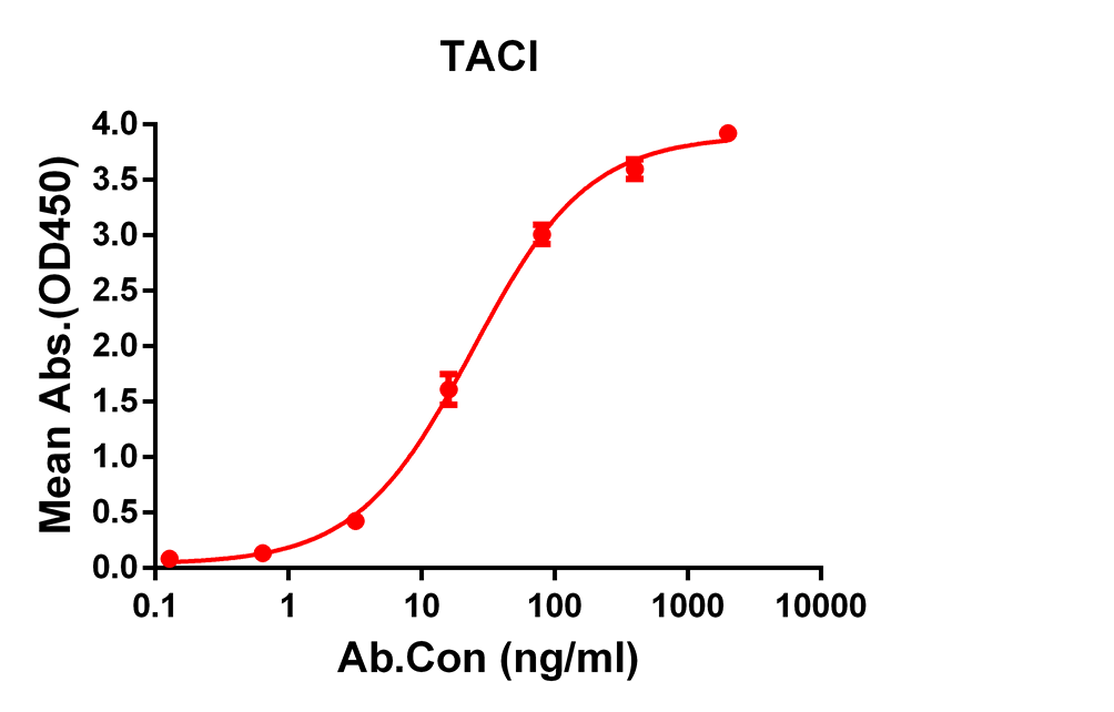 Anti-TACI Rabbit Monoclonal Antibody