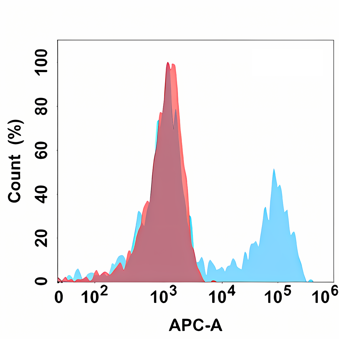 Anti-TACI Rabbit Monoclonal Antibody
