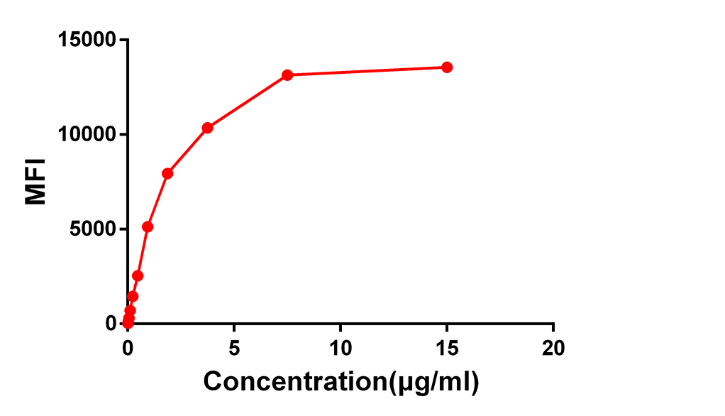 Anti-CD28 Rabbit Monoclonal Antibody