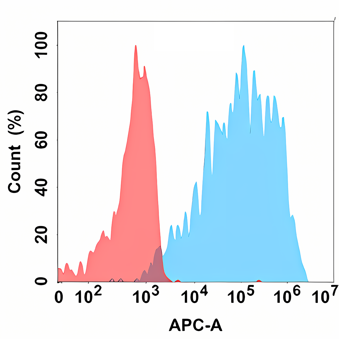 Anti-VEGFR2 Rabbit Monoclonal Antibody