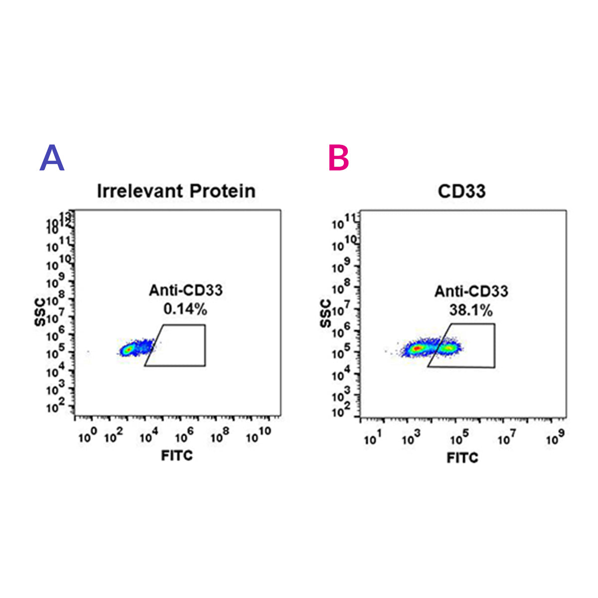 Anti-CD33 Rabbit Monoclonal Antibody